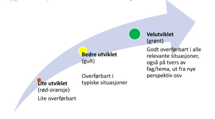 begrepstest illustrasjon