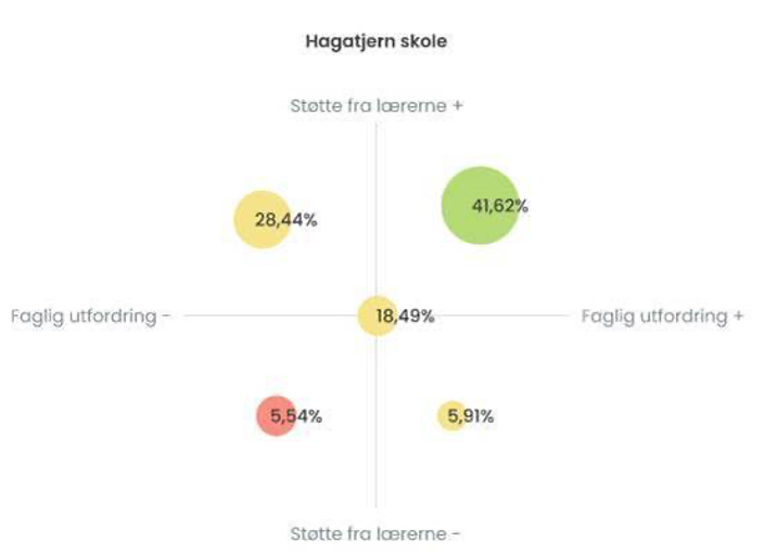 Slik får du innsikt til å gi bedre tilpasset opplæring 2 hagatjern tilpasset opplaering