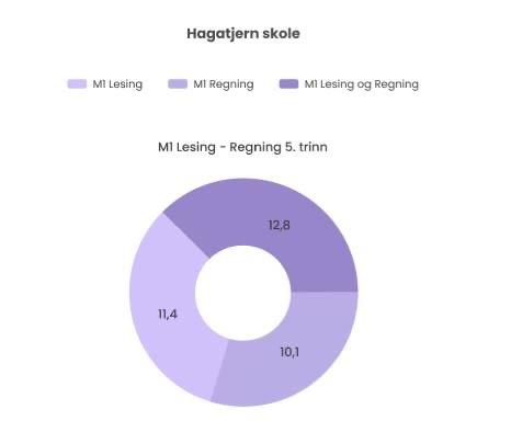 Tips til bedre tilpasset opplæring for elever som strever med lesing og regning 2 mestringsniva1 jpg